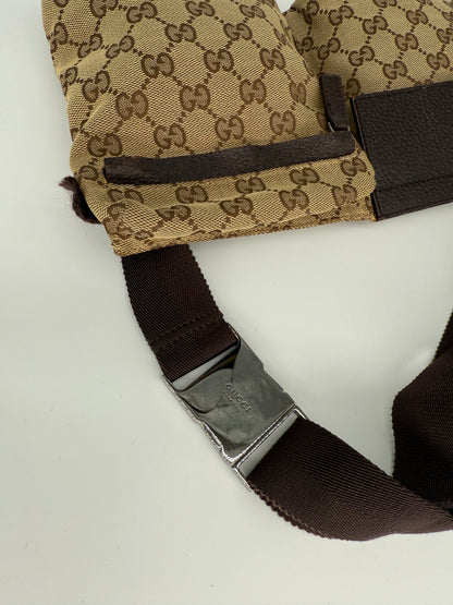 Gucci Double Belt bag